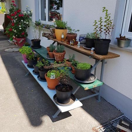Ferienwohnung Namaste Langenargen Zewnętrze zdjęcie