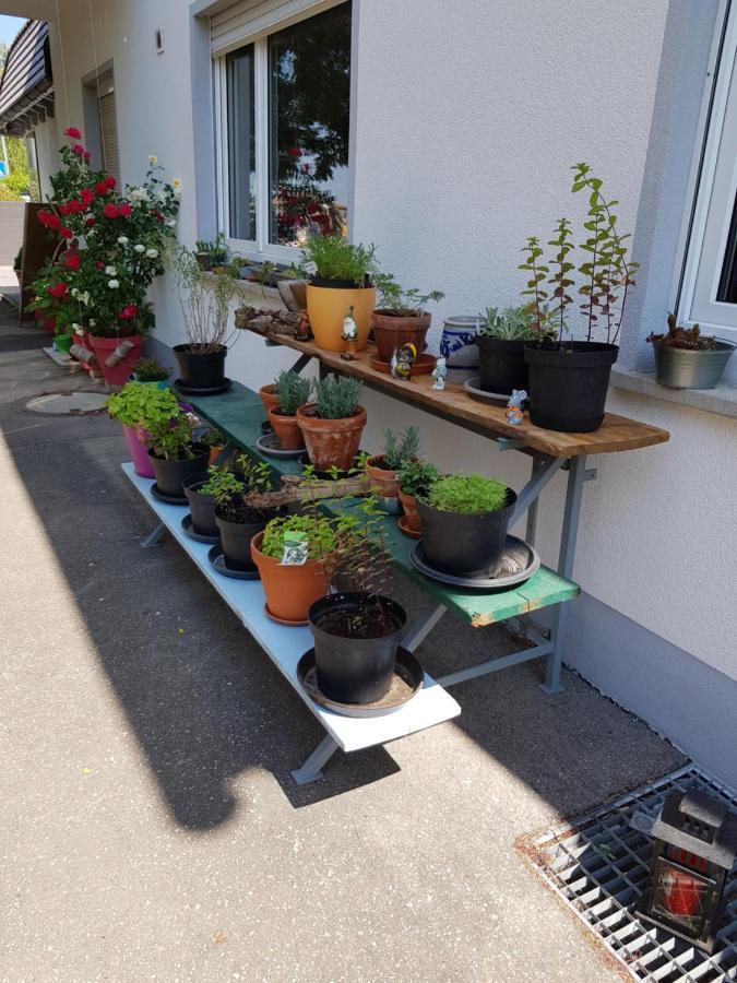 Ferienwohnung Namaste Langenargen Zewnętrze zdjęcie